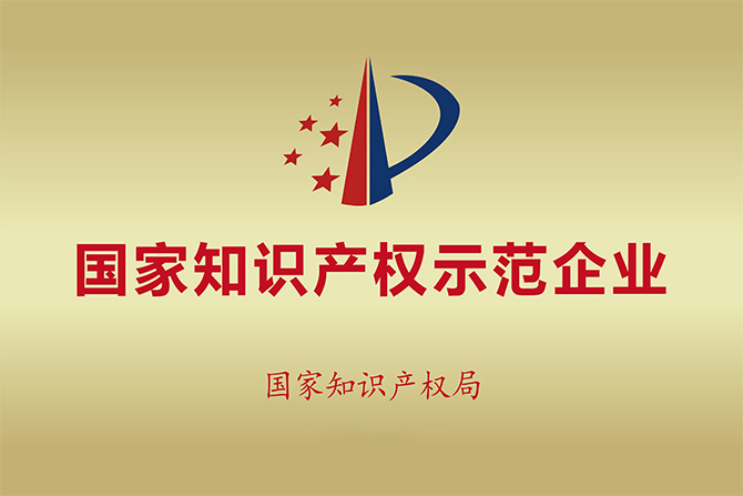 國家知識產(chǎn)權(quán)示范企業(yè)空白.jpg